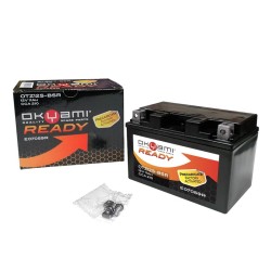 Batteria Okyami OTZ12S-Bsrprecaricata Sigillata per HONDA Jazz 250 01-06 e altri modelli Blei-Säure-Batterien OKYAMI