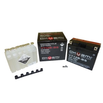 Okyami Battery YT12B-Bsw/Acid for APRILIA Sportcity 125/200 04-06 and other model Other Batteries OKYAMI