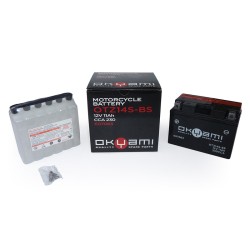 Batteria Okyami OTZ14S-Bscon Acido per HONDA Integra 750 13-20 e altri modelli Andere Batterien OKYAMI