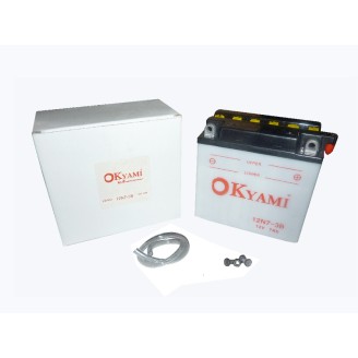 Okyami Battery 12N7-3B for AERMACCHI SX 125 74-78 and other model Lead-Acid Batteries OKYAMI