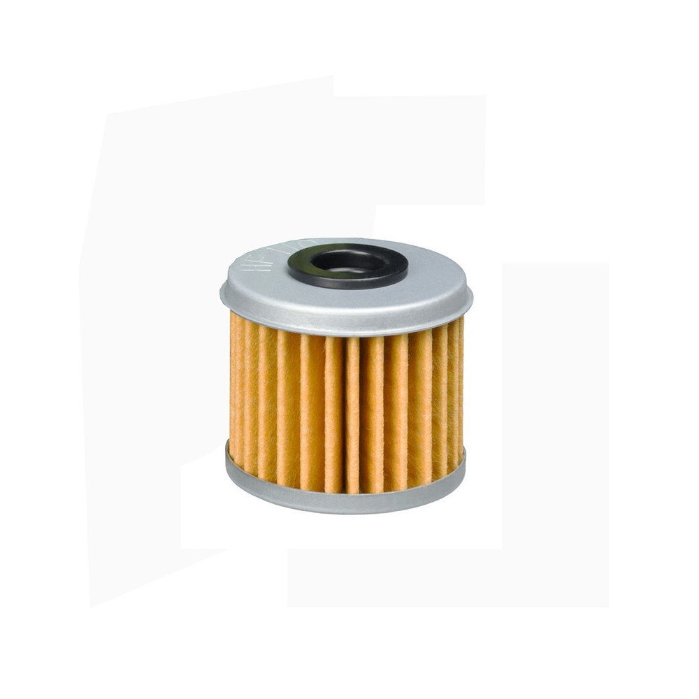 Filtro Olio Honda Nsf 250R 17- - HF110