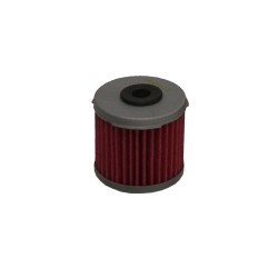 Oil Filter Lml Star 4T 125/15009-11 for DAELIM VC 125 96-05 and other model Oil Filters HIFLO FILTRO