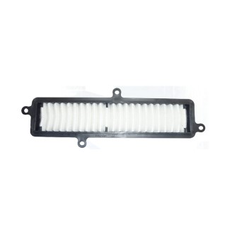 Filtro Aria Suzuki Burgman 125-200 07- - HFA3103