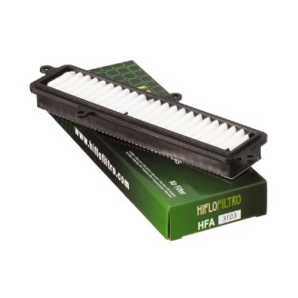 Filtro Aria Suzuki Burgman 125-200 07- - HFA3103