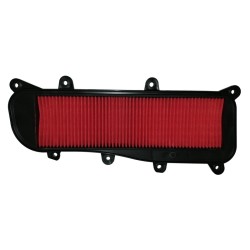 Filtro Aria Kymco People GT125/200/300 10- - HFA5012