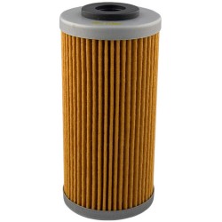 Filtro Olio Bmw G450X 09- per BMW G 450 X 09 e altri modelli Ölfilter HIFLO FILTRO