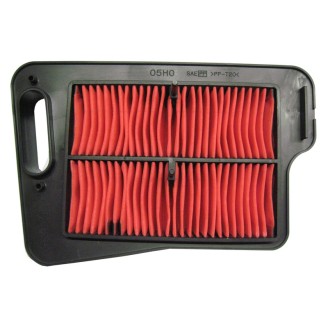 Filtro Aria Suzuki Burgman 40007-16 -