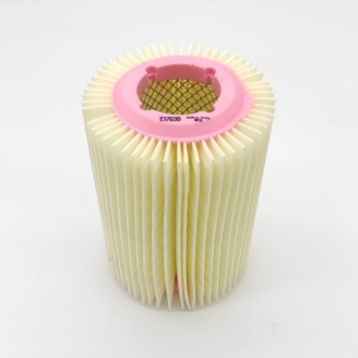Filtro Aria Ape Car Max Dieselpoker Diesel Tm P703/703V Dies -