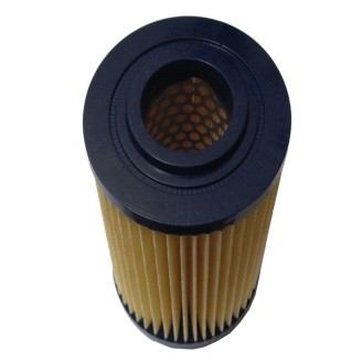 Filtro Aria Porter/Calessino -