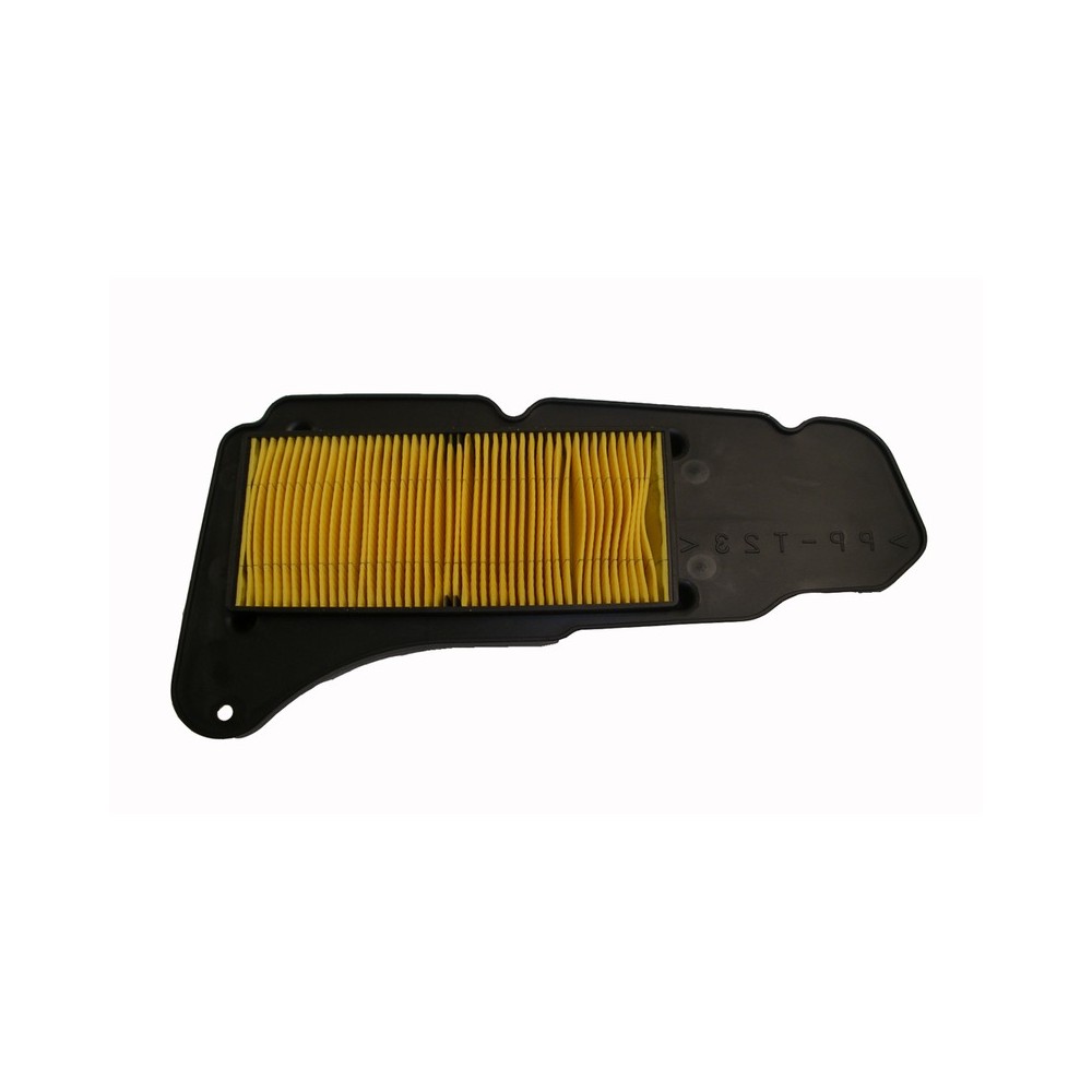 Filtro Aria Yamaha Majesty 40004- Sinistro -