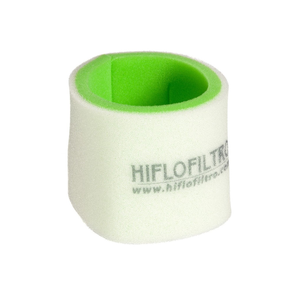 Filtro Aria Polaris 250/30005-11 - HFF7012