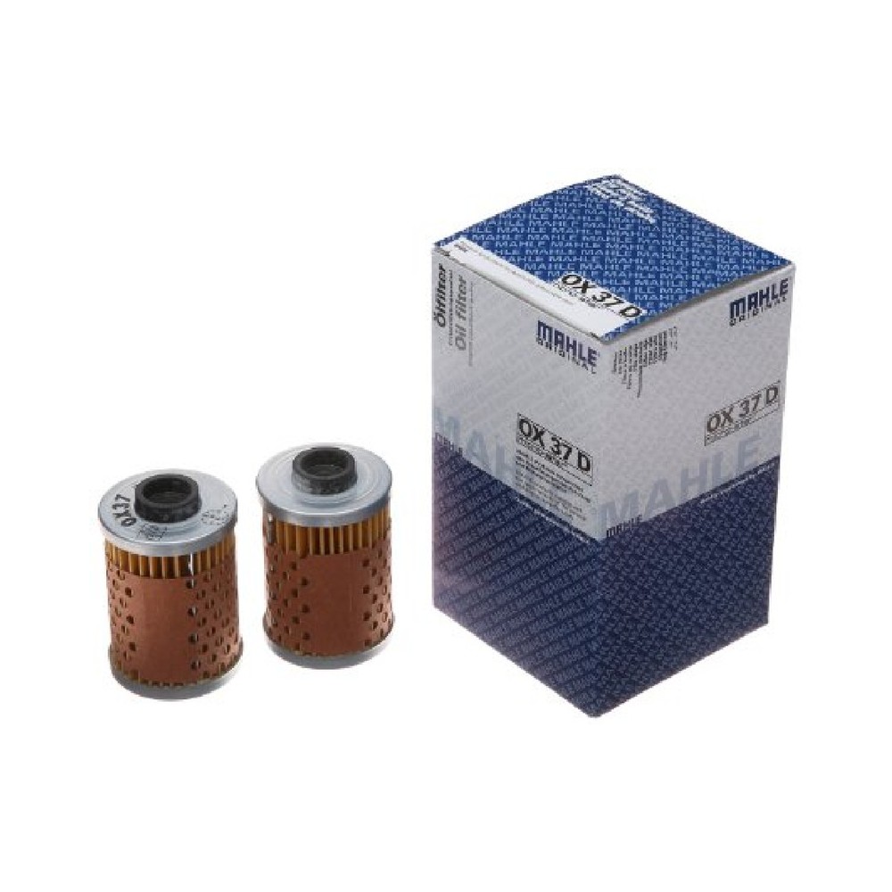 Filtro Olio Bmw R100/R50X Modelli Senza Radiatore - OX37D