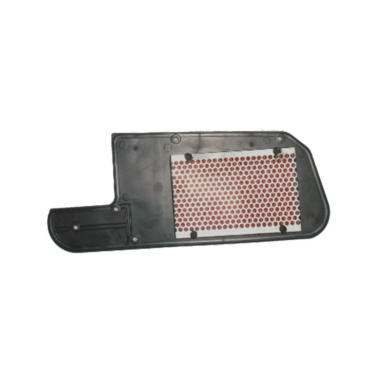 Filtro Aria Honda Foresight,Jazz 250, X9 250,Sv 250 per HONDA FES Foresight 98-05 e altri modelli Filtros de aire OKYAMI