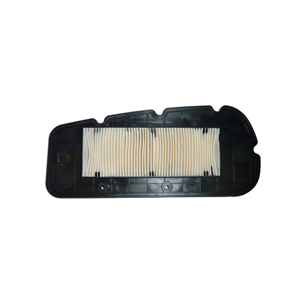 Filtro Aria Sym Citycom 30007-15 -