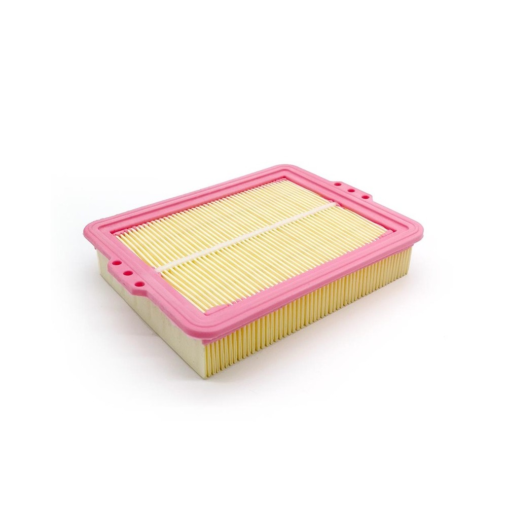 Filtro Aria Bmw F750/850 GS17-20 -