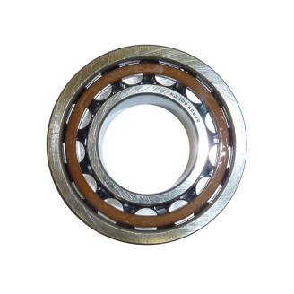 Ntn Bearing NJ205ET2XCS42M.25X52X15 for BETA RR 250/300/350/450/480 15-20 and other model Bearings Ntn
