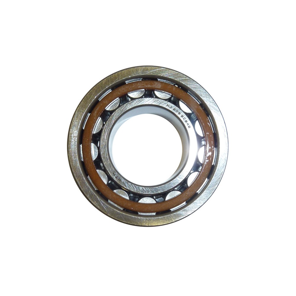 Cuscinetto Ntn NJ205ET2XCS42M.25X52X15 per BETA RR 250/300/350/450/480 15-20 e altri modelli Roulements Ntn