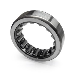 Ntn Bearing 8E-NK39X58X16-2PX1 M.39X58X16-2 Bearings Ntn