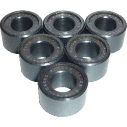 Kit 6 Rulli 20X12 13gYAMAHA Xenter 12- 125/150 per YAMAHA HW Xenter 125 12- e altri modelli Rodillos Bando