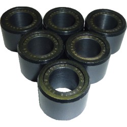 Kit 6 Rulli 24X18 21gSUZUKI 200 Uh Burgma N 07-13 per SUZUKI UH Burgman 200 07- Rodillos Bando