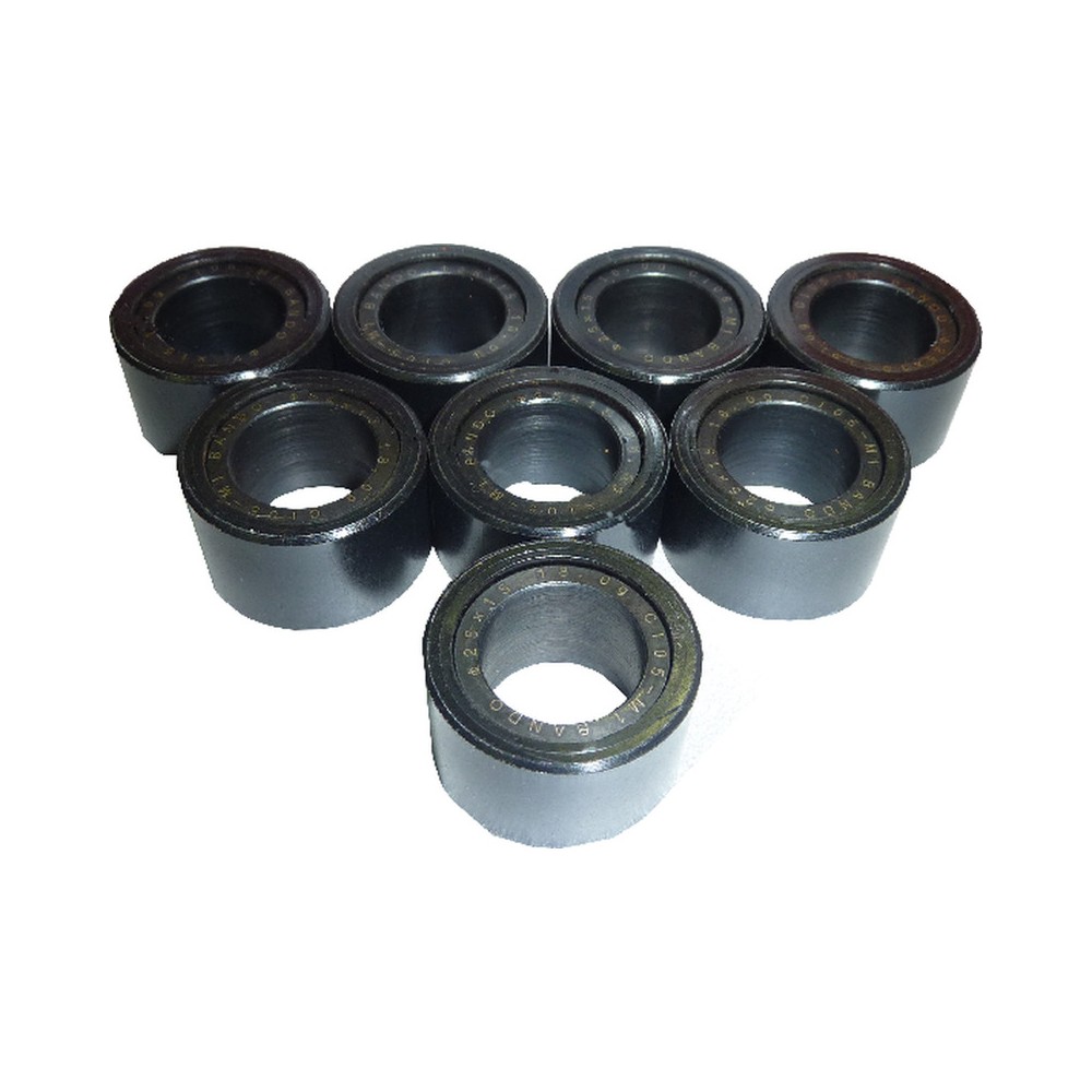 Kit 8 Rulli 25X15 18gYAMAHA 530 Xp T-Max -