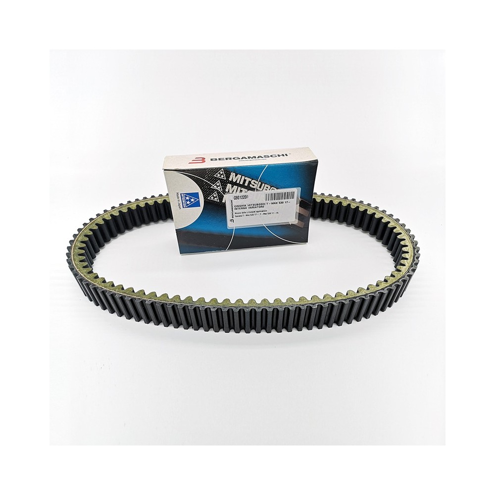 Cinghia Mitsuboshi T-Max 53012- 19 Interna Variatore -