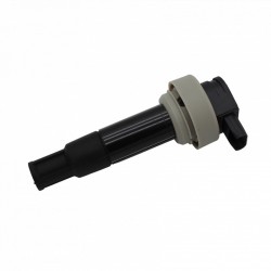 Coil Bmw Bmw G650 Gs 06-11 for BMW G650 GS 06-11 Ignition Coils MAGNETI MARELLI