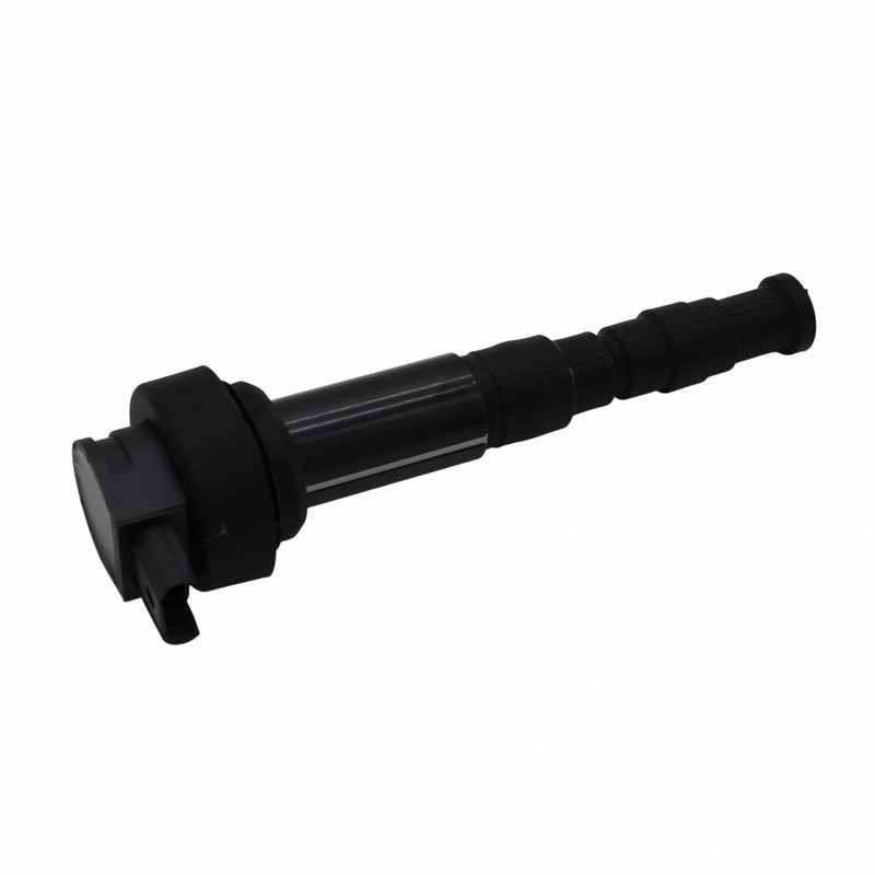 Bobina Accensionebmw F800 Gs 06-14 per BMW F650 GS 06-12 e altri modelli Bobine MAGNETI MARELLI