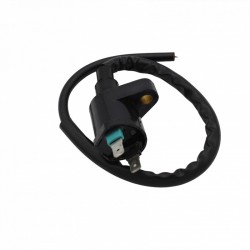 Bobina Piaggioliberty Iget 50 15-19 per PIAGGIO Liberty Iget 50 15-24 e altri modelli Spulen MAGNETI MARELLI