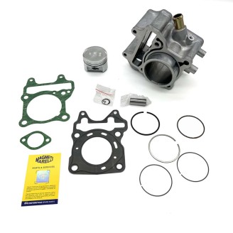 Cilindro Completo Honda SH12513-20- Pcx 125 13- -