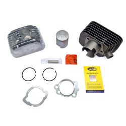 Gruppo Termico Elaborazioneciao Si D.43 Spinotto 10mm per PIAGGIO 50 Ciao nd e altri modelli Altro MAGNETI MARELLI