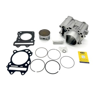 Windshield Suzuki Burgman 400FUME Dark for SUZUKI Burgman 400 07- Other accessories BIONDI