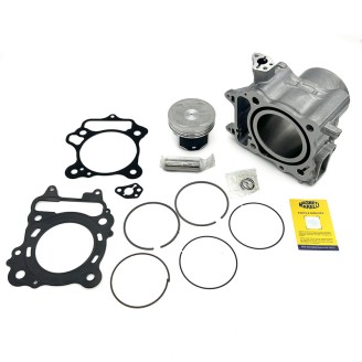 Cilindro Completo Hondash/Forza 350 21- -