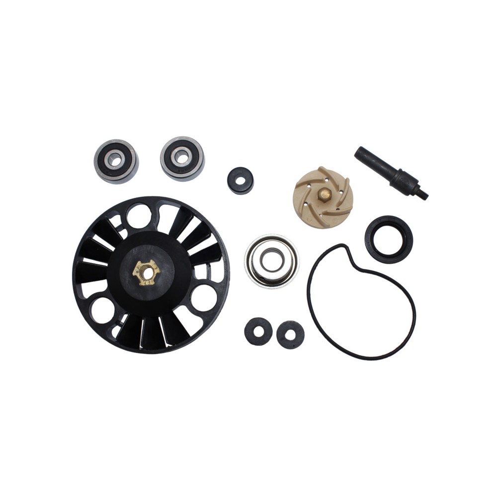 Kit Rev.Pompa Acquapeugeot Satelis 250 06-13 -