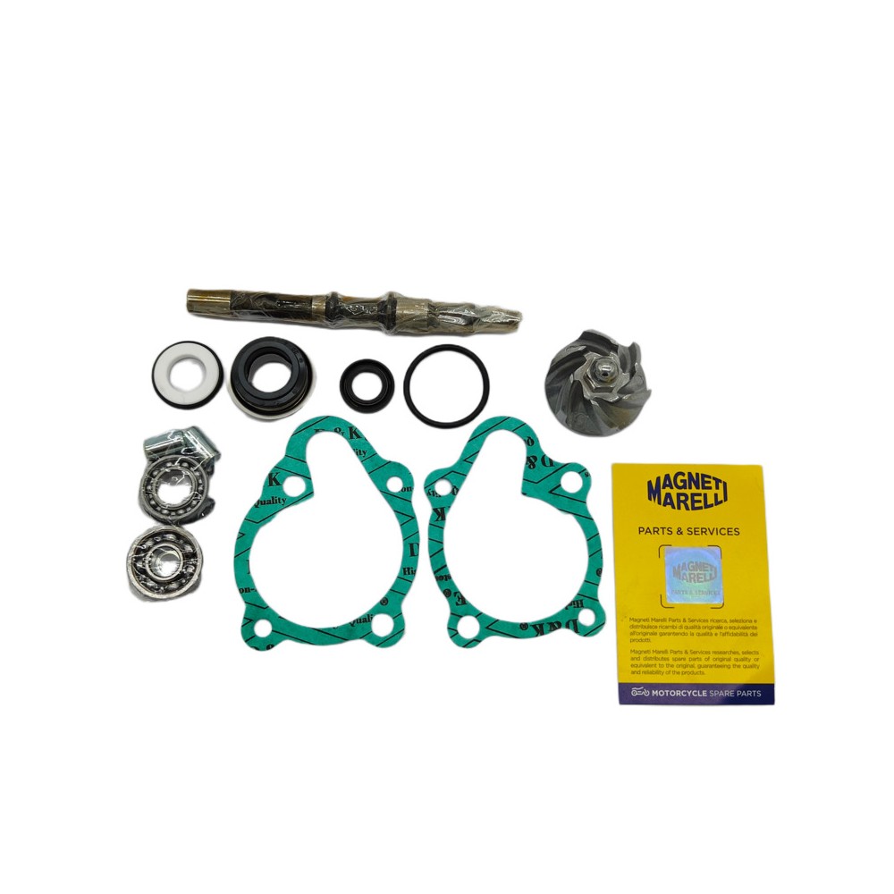Kit Rev.Pompa Acqua Kymcodink/B&W 125/150 -