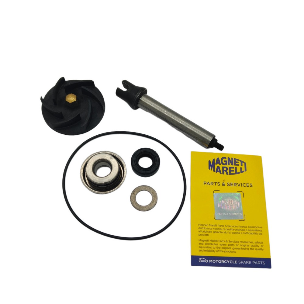 Kit Rev.Pompa Acqua Piaggiobeverly 400/500 06-08 -