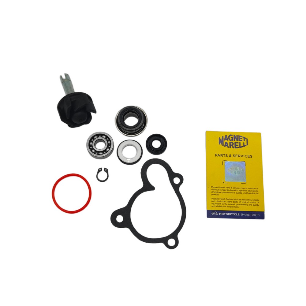 Kit Rev.Pompa Acqua Yamahamajesty 250/300 -