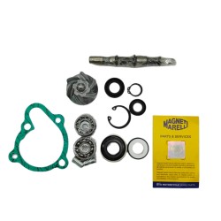 Kit Rev.Pompa Acqua Kymcox-Citing 250 -