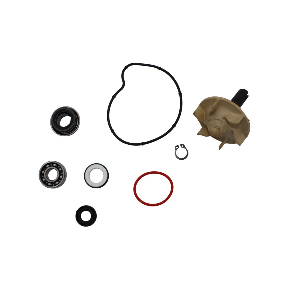 Kit Rev.Pompa Acqua Yamahat-Max 530/560 -