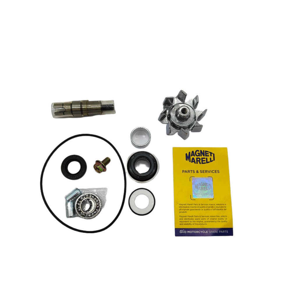 Kit Rev.Pompa Acqua Kymcoxciting 400 -