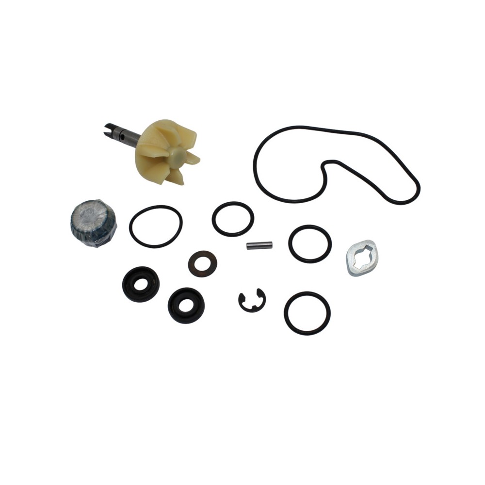Kit Rev.Pompa Acqua Suzukiburgman 400 07- -