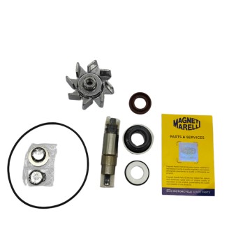 Kit Rev.Pompa Acqua BMWC600/650 -