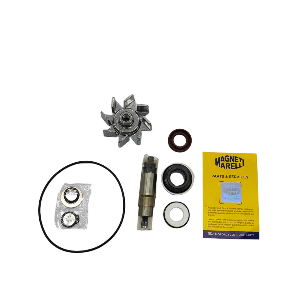 Kit Rev.Pompa Acqua BMWC600/650 -
