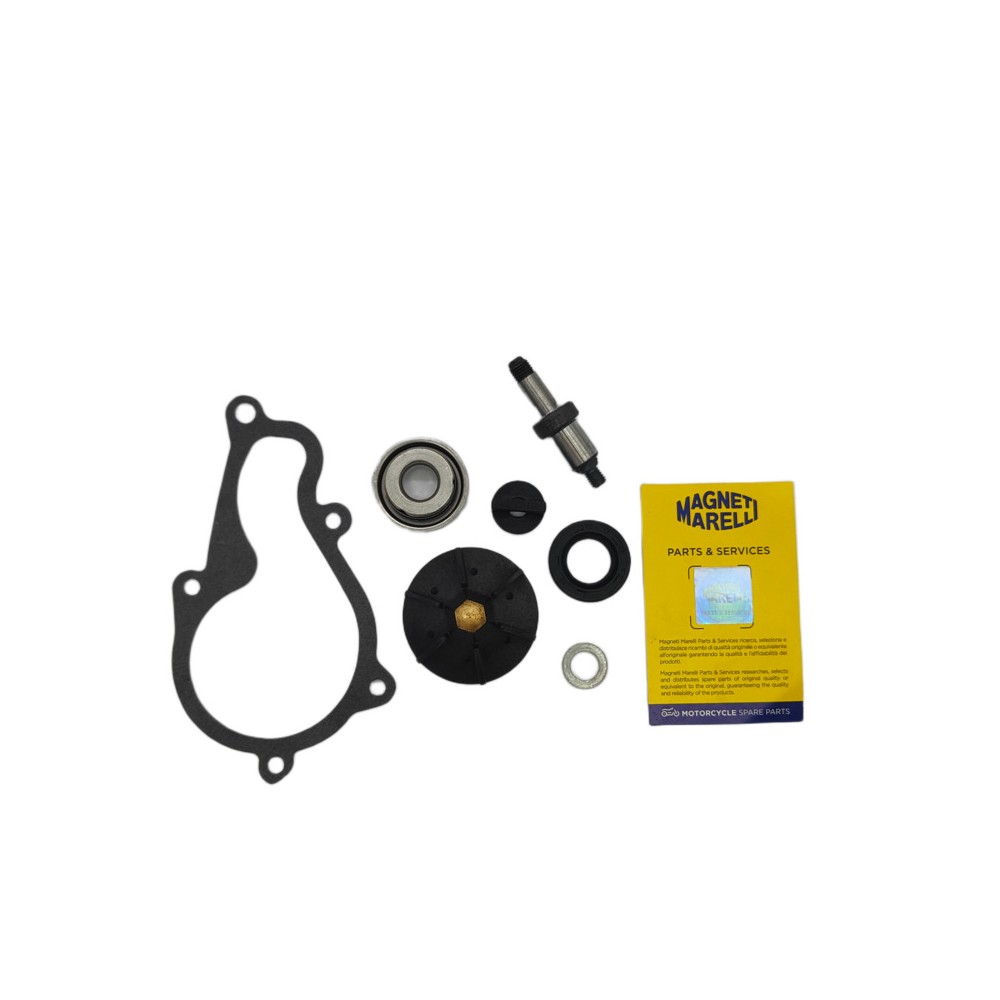 Kit Rev.Pompa Acqua Piaggiobeverly 350 / X10 -