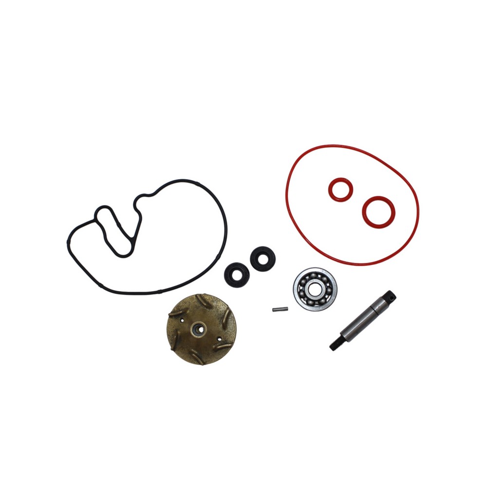 Kit Rev.Pompa Acqua Piaggiomedley 125-150 16-21 -