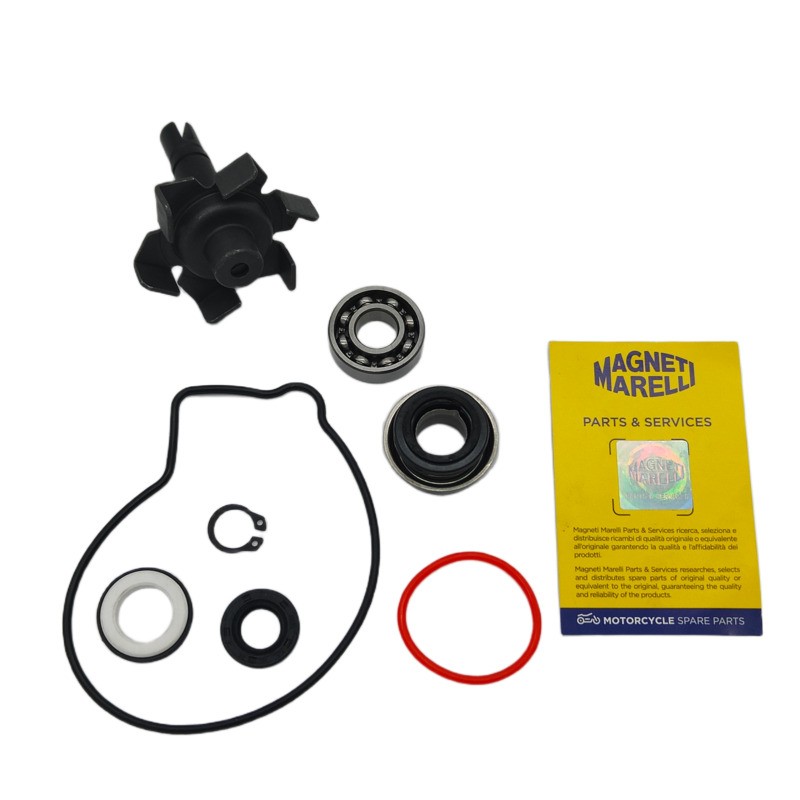Kit Rev.Pompa Acqua YAMAHAXJ6 Diversion 600 09-16 per YAMAHA XJ6 DIVERSION 600 09-16 e altri modelli Kit de revisión MAGNETI MARELLI