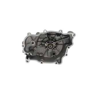 Pompa Acqua Completapiaggio Vespa Gts 300 08-24 per PIAGGIO Vespa GTS 300 08-24 e altri modelli Kit de revisión MAGNETI MARELLI