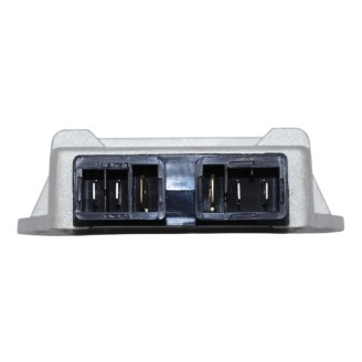 Regolatore Ape Car Diesel P70387-04 -