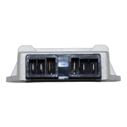 Regolatore Ape Car Diesel P70387-04 -