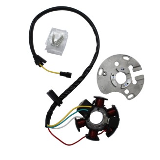 Statore Piaggio Aprilia RS4 5011-16 -